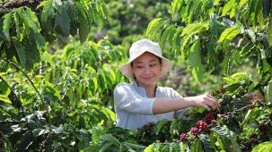 NESCAFÉ PLAN 2030