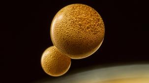  ¿Pueden los astronautas tomar café en el espacio?