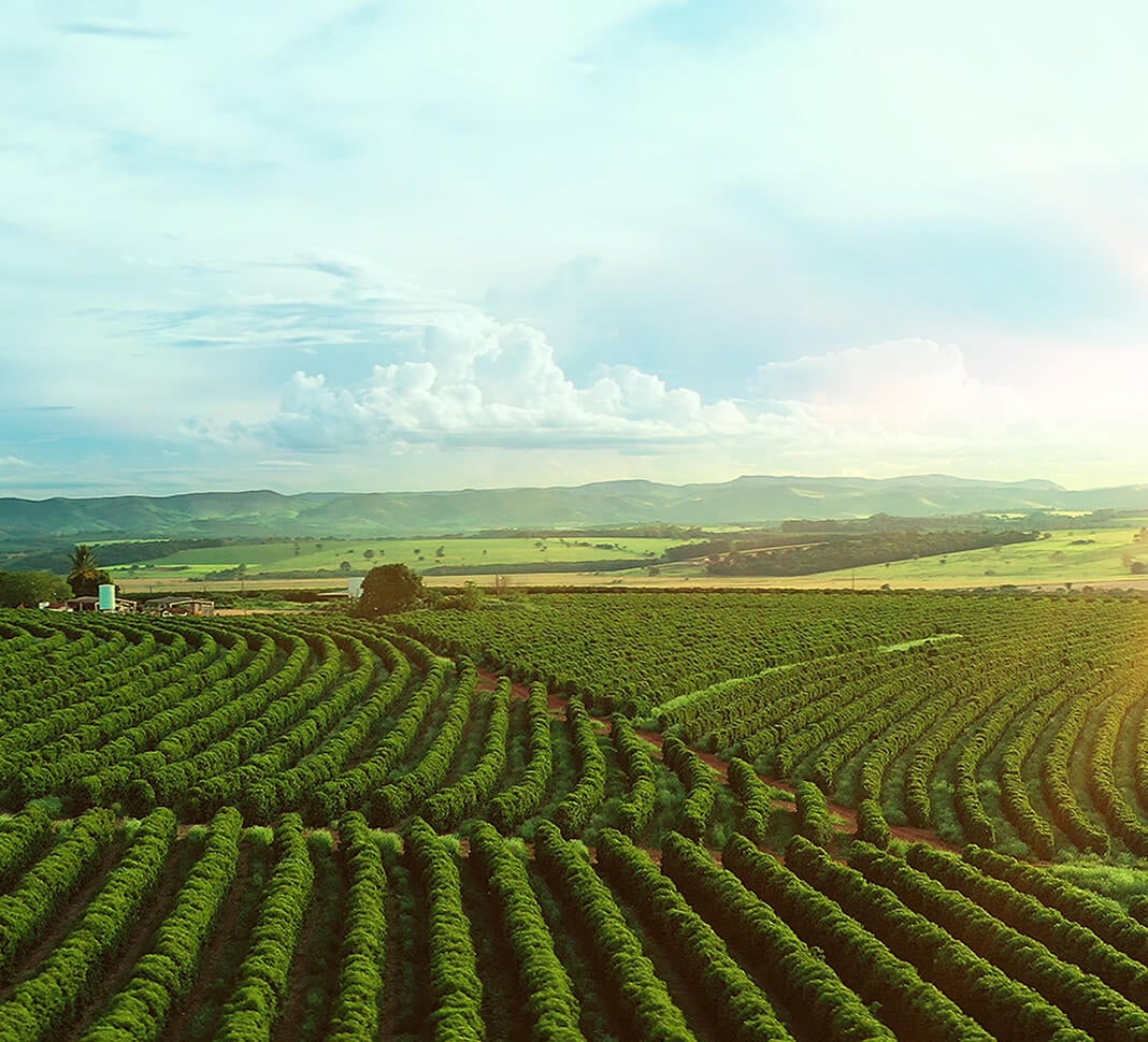 sustainable and regenerative benefits