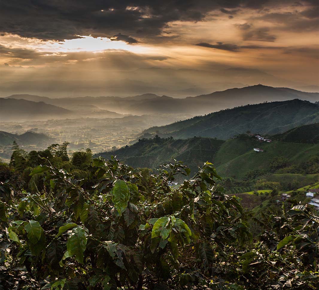 maisema auringonlaskusta