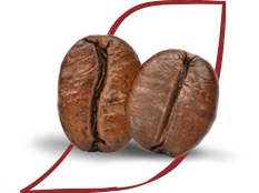 roasted coffee beans