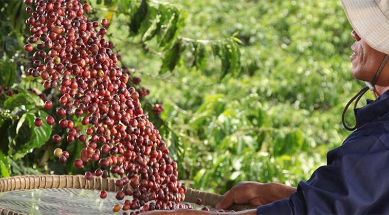 Nos initiatives Thaïland