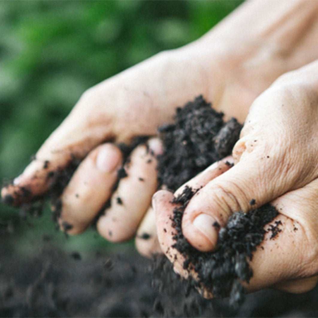 mains tenant de la terre