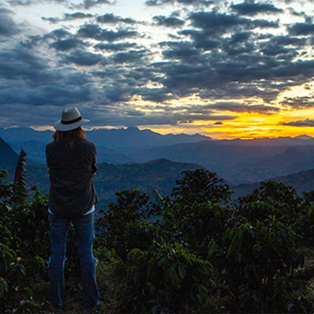 femme regarant le couché de soleil