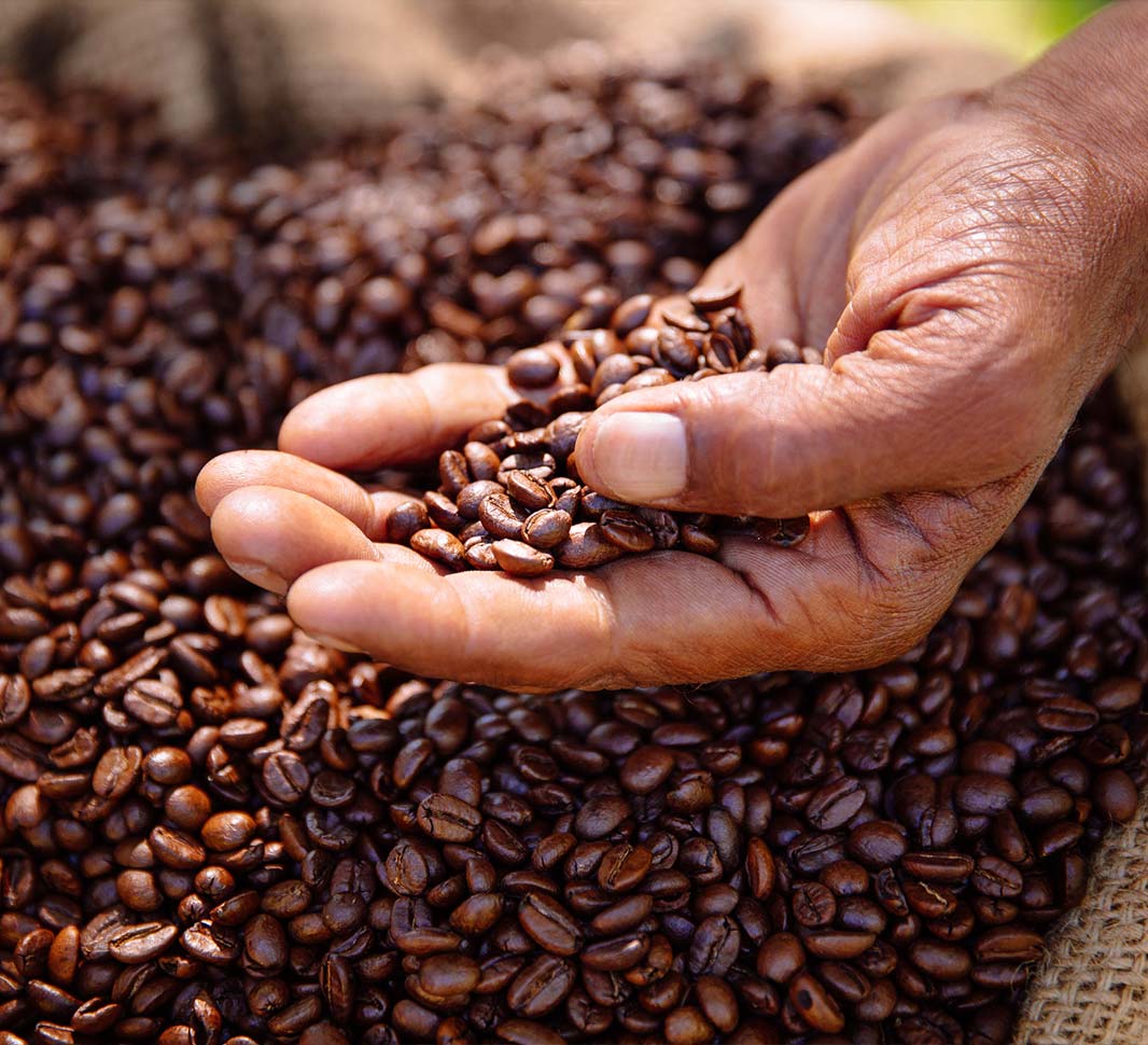 main tenant des grains de café