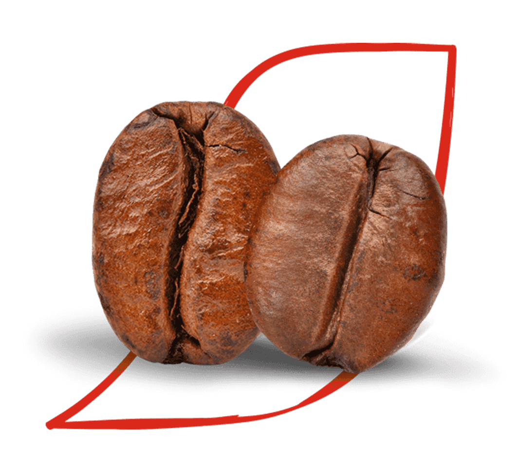 Réveillez-vous et sentez les arômes du café