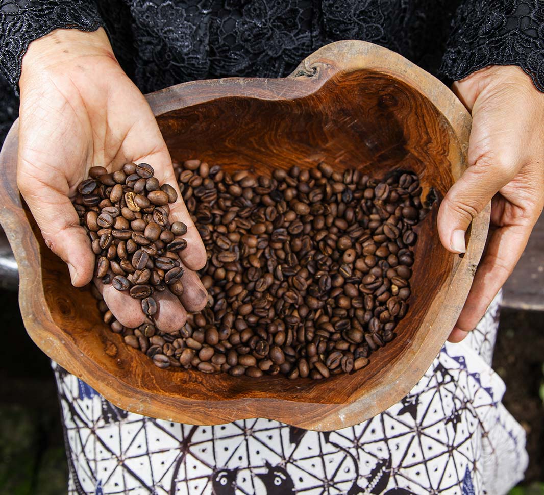 Culture du café en Indonésie