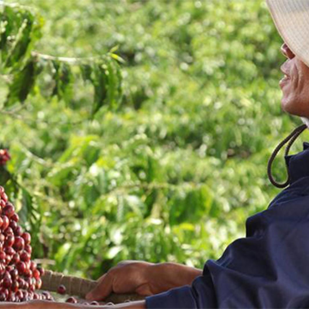 Nos initiatives Dieppe