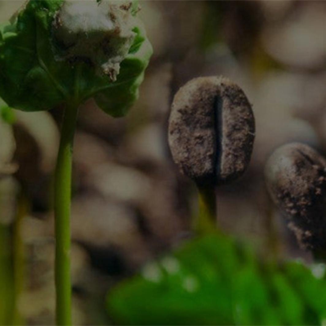 Un bon goût et de bonnes actions