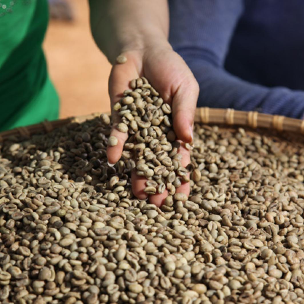 Le café est-il bon pour la santé ?