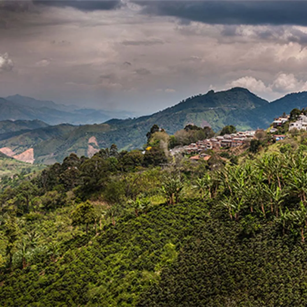 paysage de montagne
