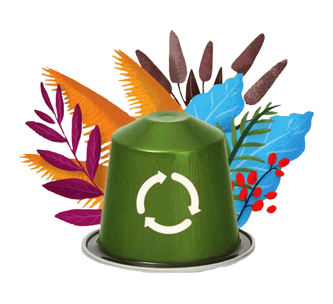Eco capsule