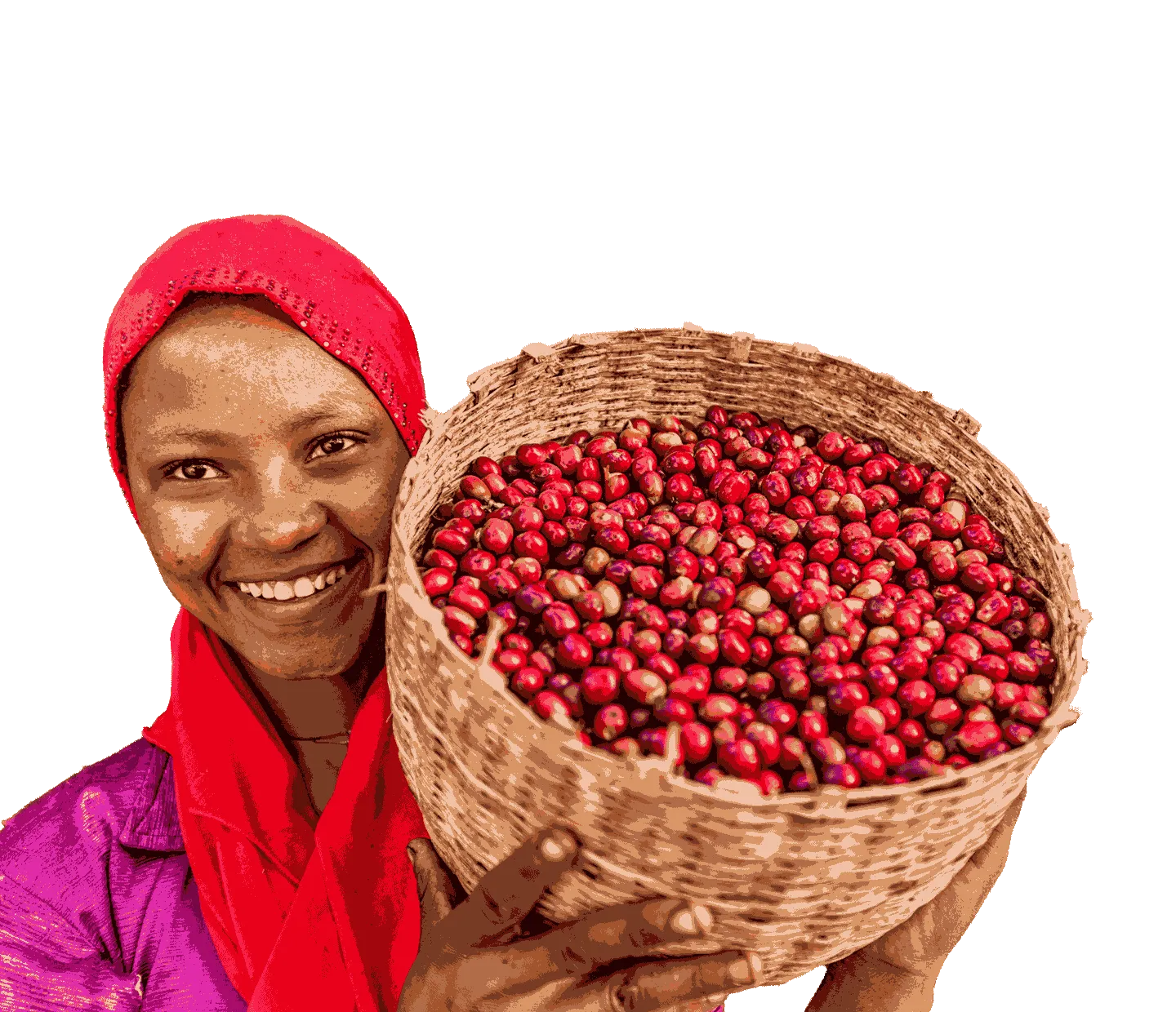  Arabica vs. Robusta