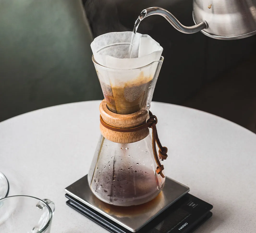 café filtre à froid