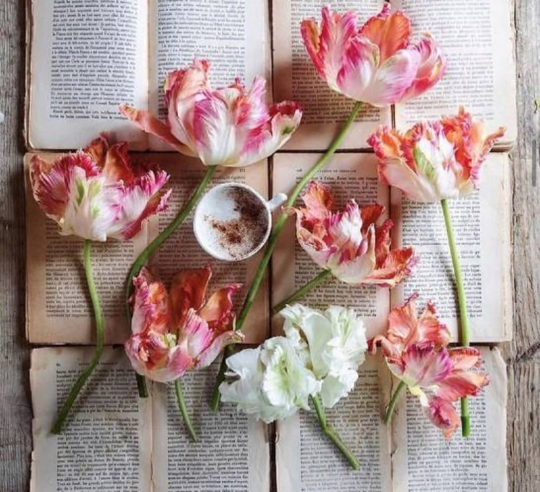  Flowers and a coffee on book pages