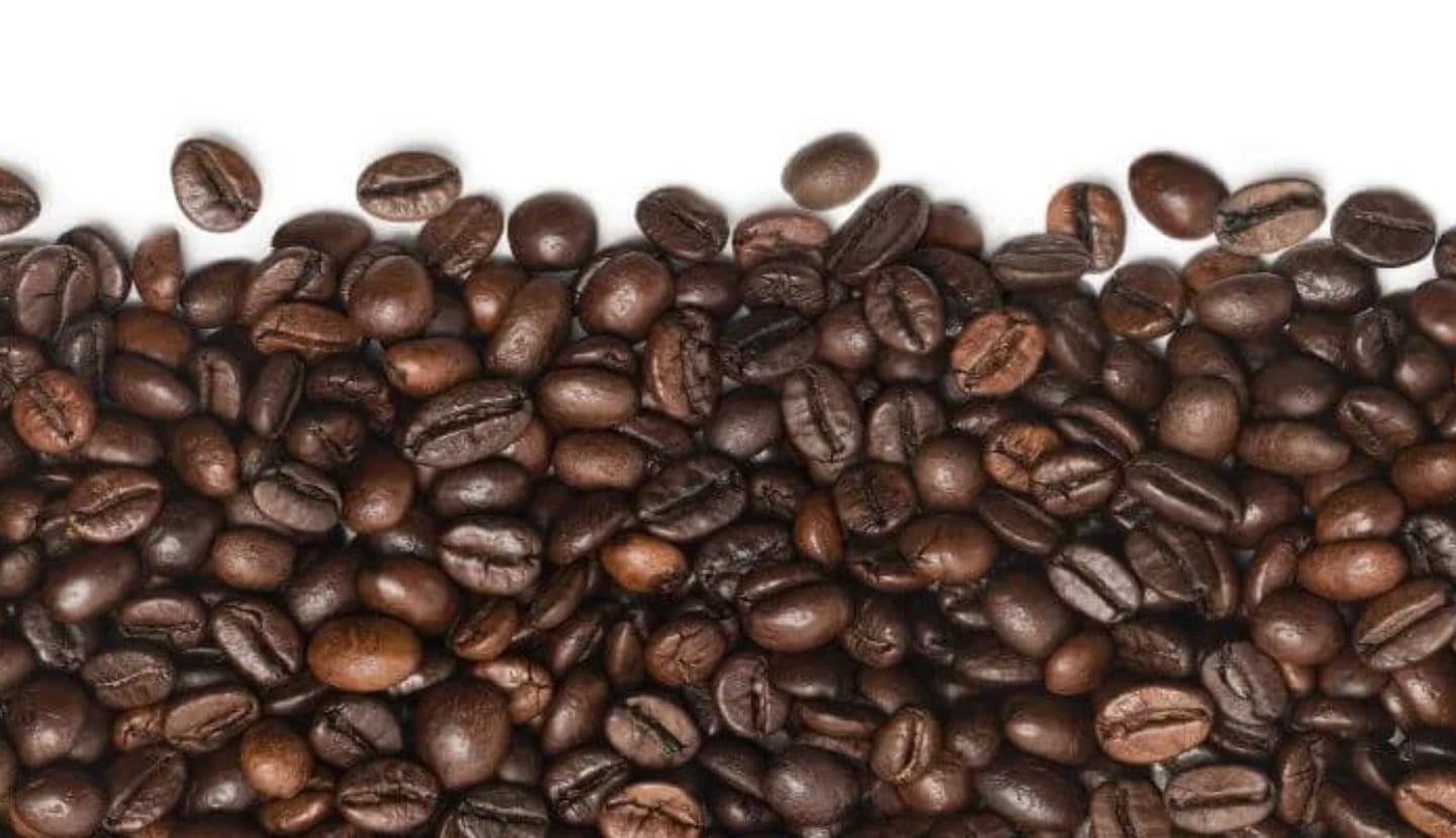 Coffee bean art header desktop