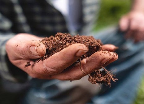 Pioneering soil carbon project with First Milk and Agricarbon