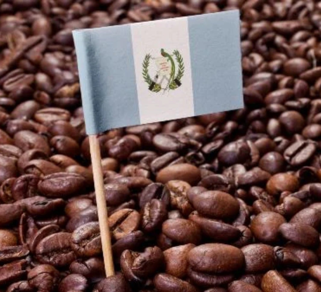 Guatemala coffee beans hotsell