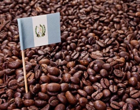 Guatemalan Coffee Beans