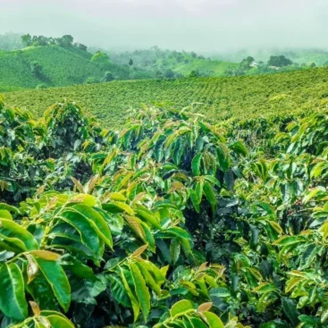 Lots, Microlots and Nanolots