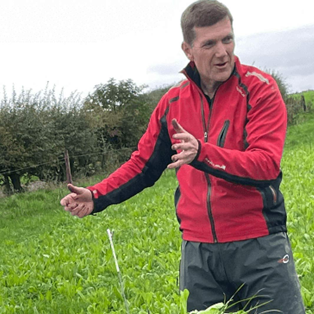 Nestle First Milk Lee