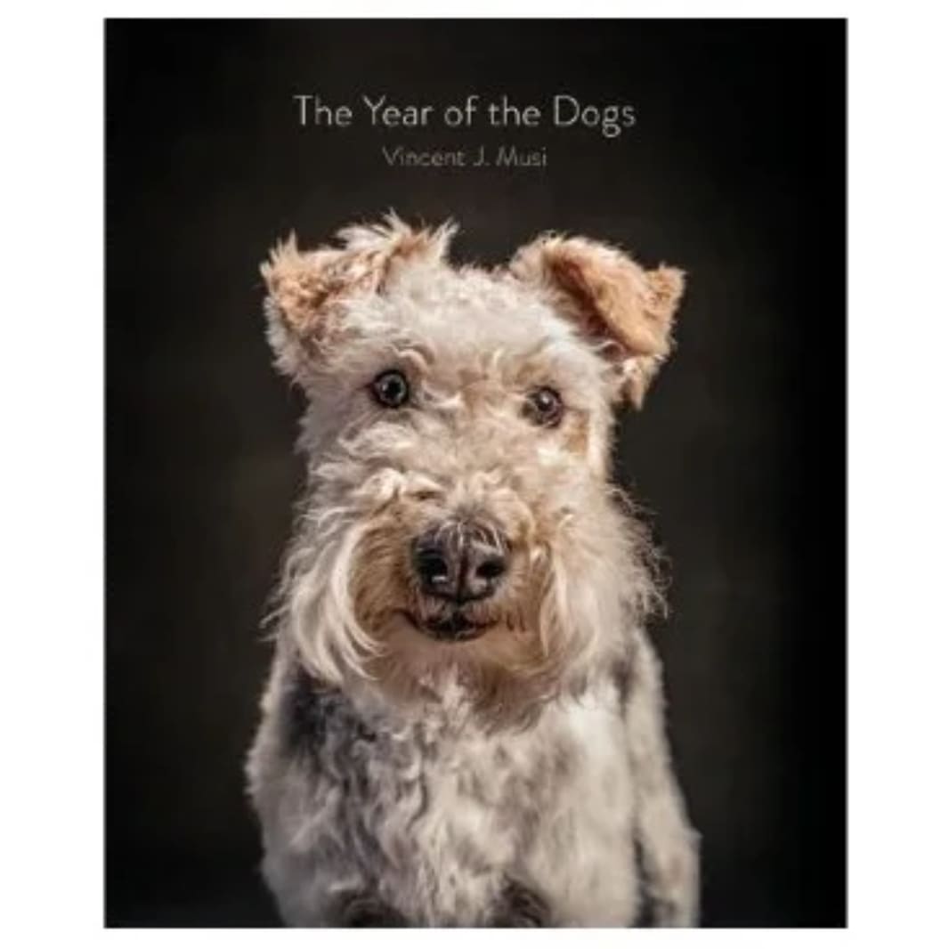 Book The Year of the Dogs Cover