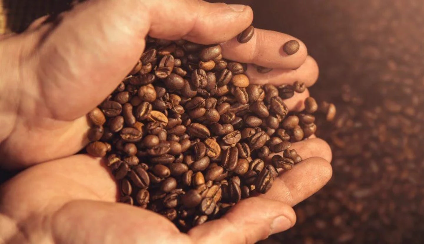 Hands holding roasted coffee beans