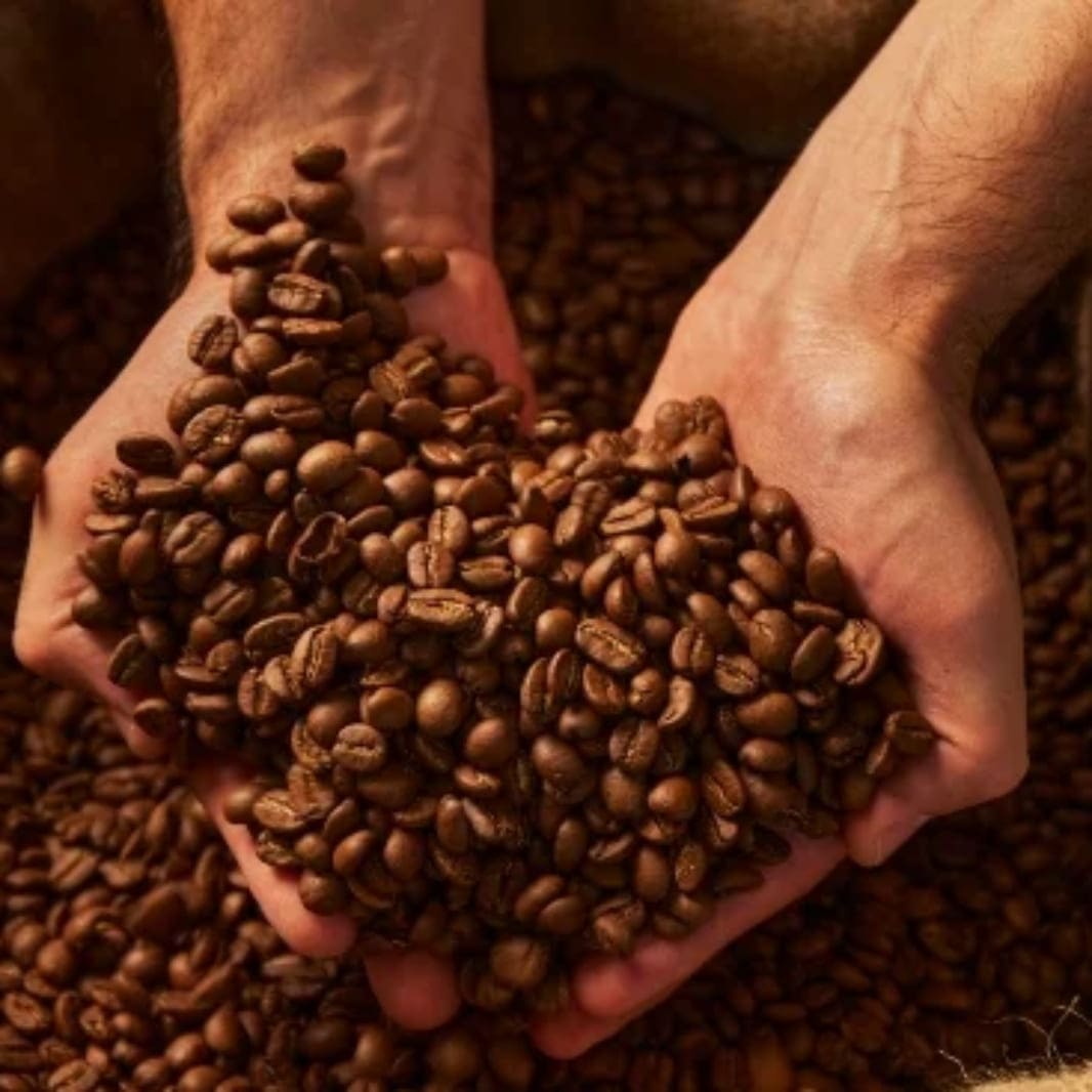 Which Single Origin Coffee is Best Image