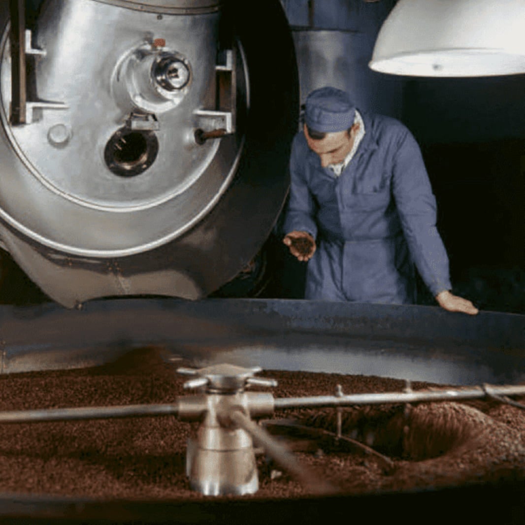 Man inspecting roasted coffee beans in Orbe factory in 1959