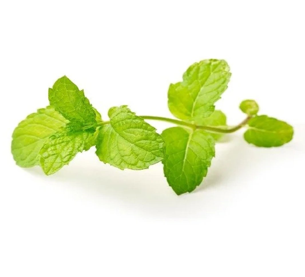 mint