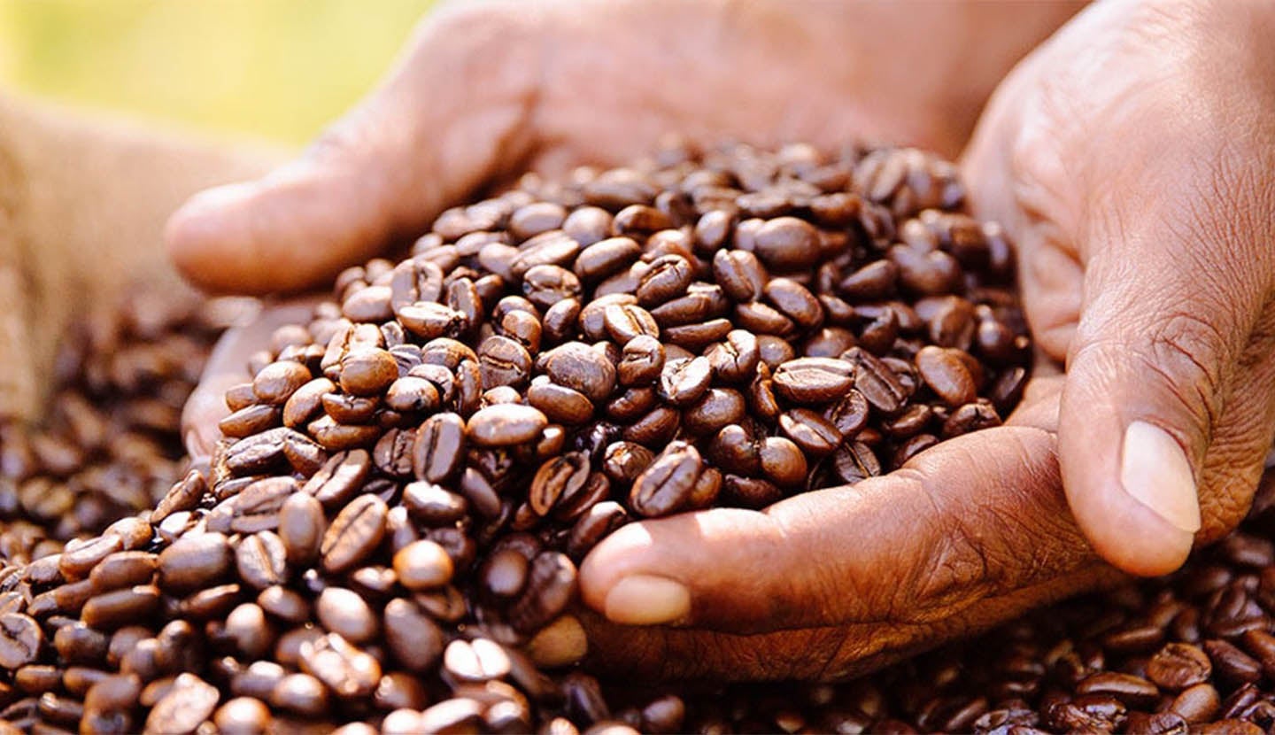 Inside the Roastery