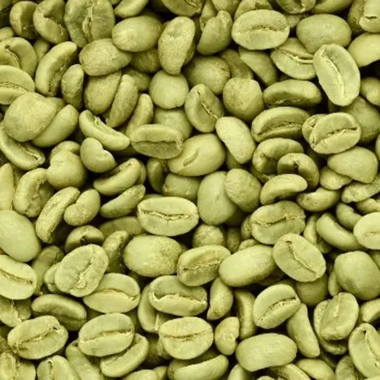 Arabica green coffee beans