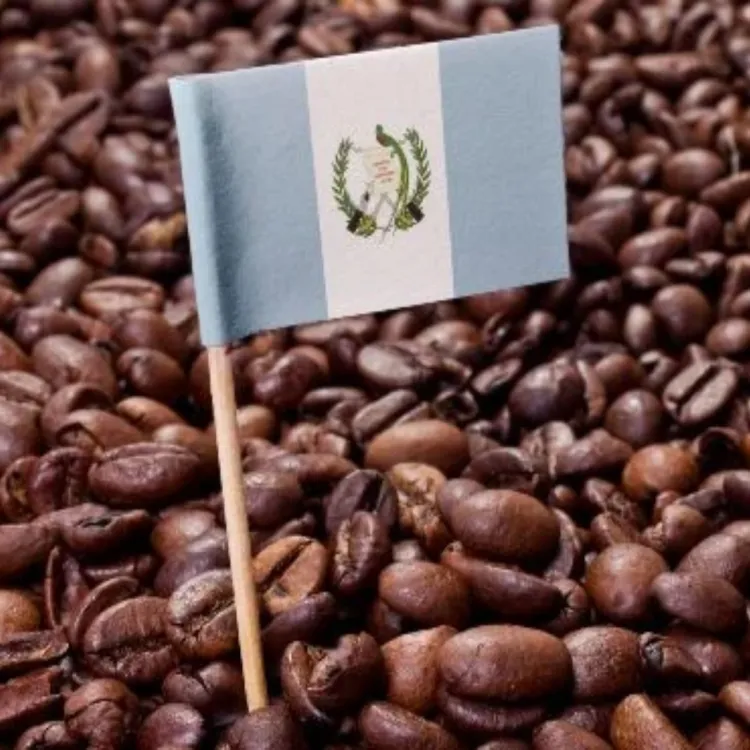 Guatemalan Coffee Beans