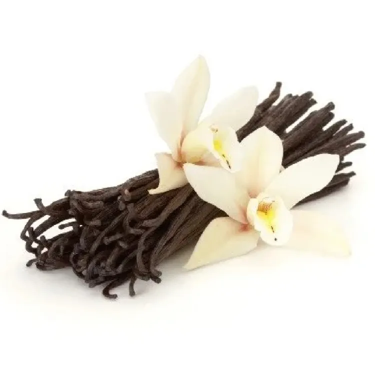 vanilla