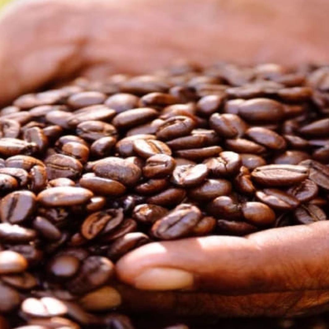 What is Single Origin Coffee?