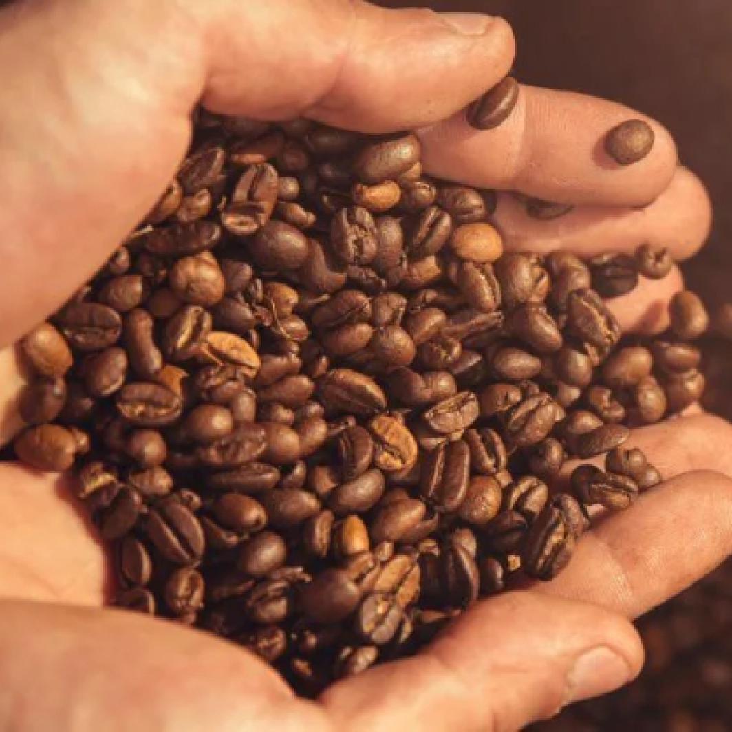 What Is Craft Coffee?