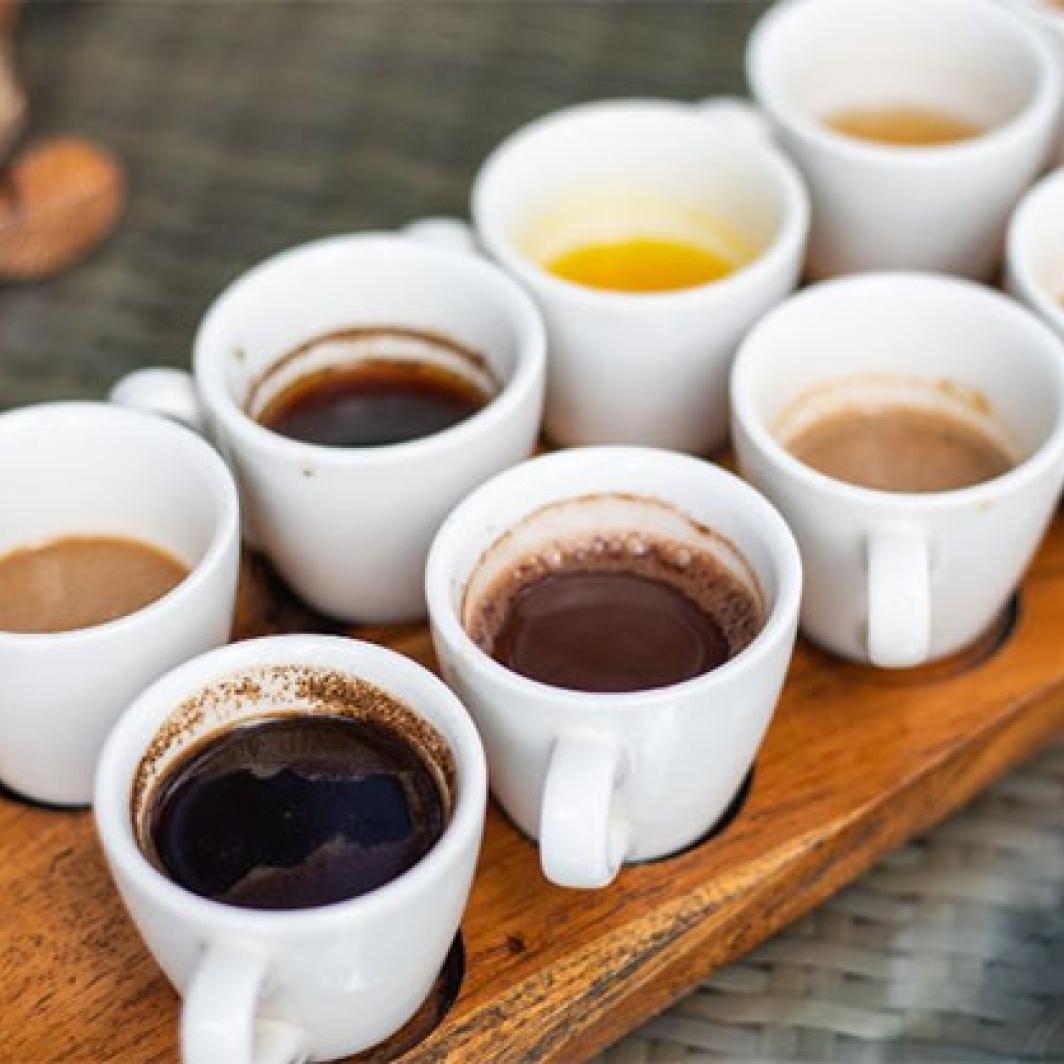 Coffee Flavour Wheel