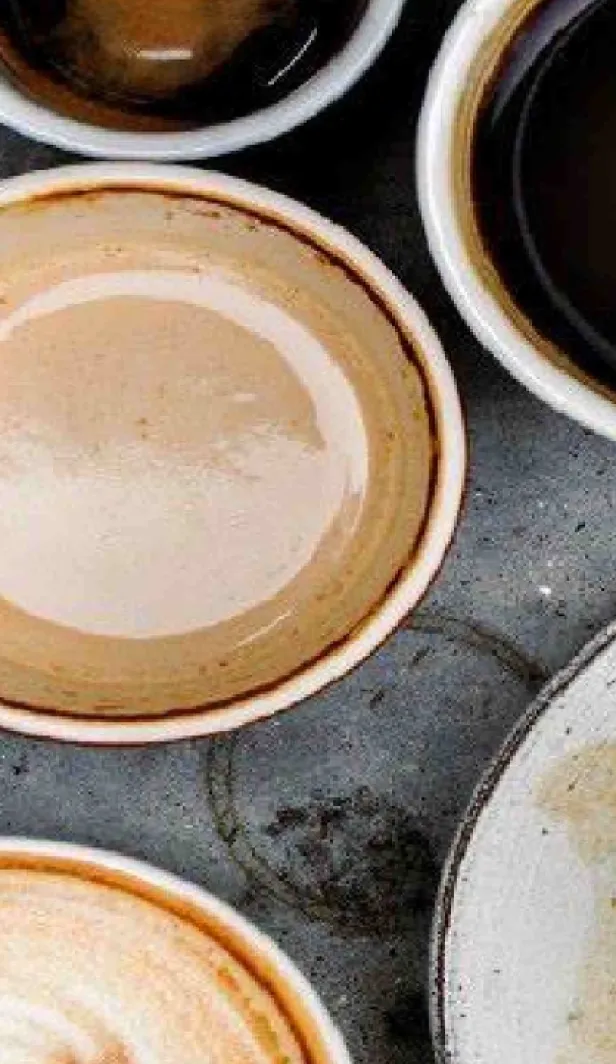 Top Coffee Flavours & Syrups