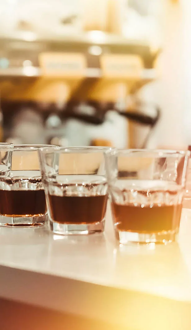 Comparing brand own label coffees