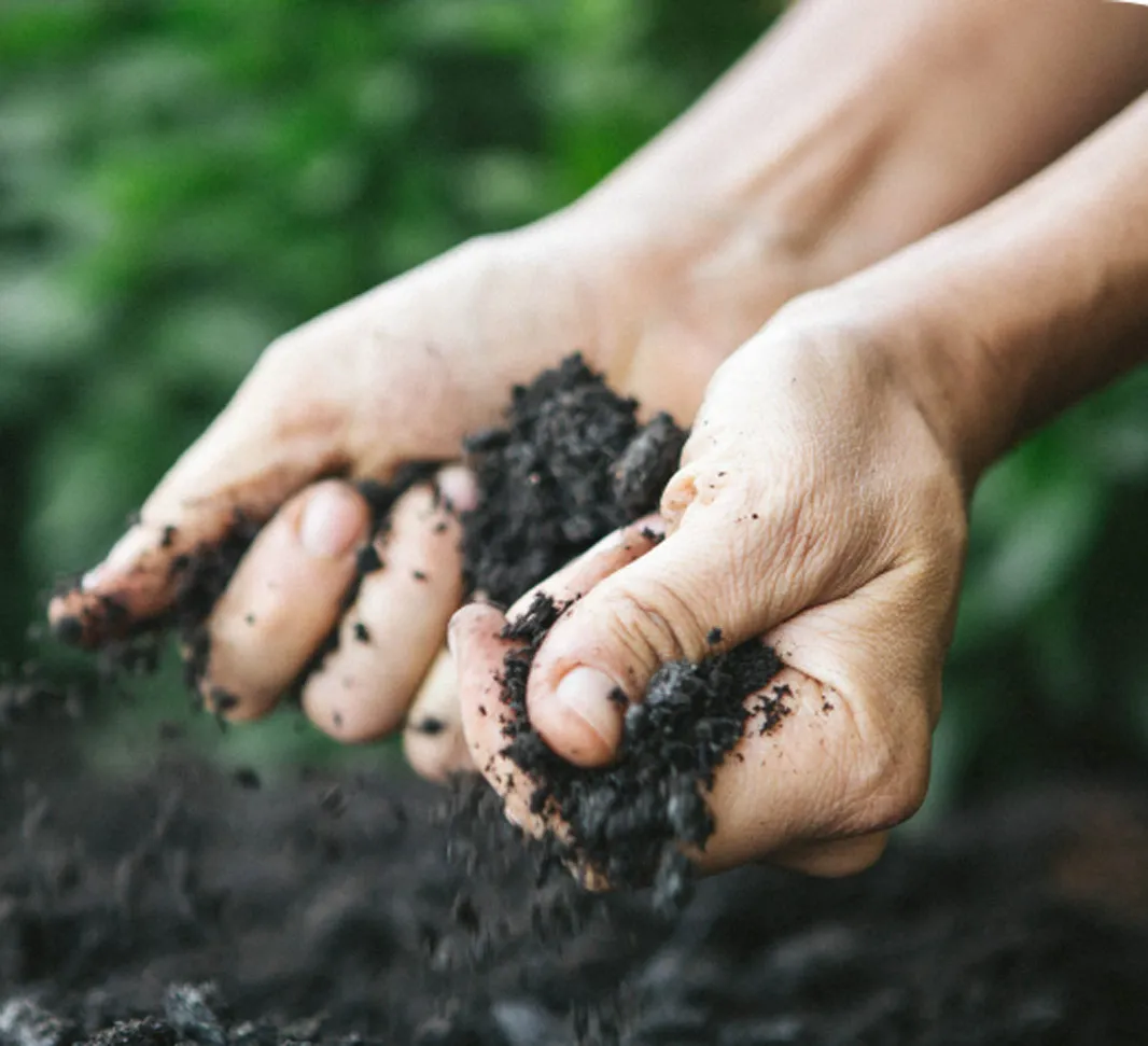 Soil
