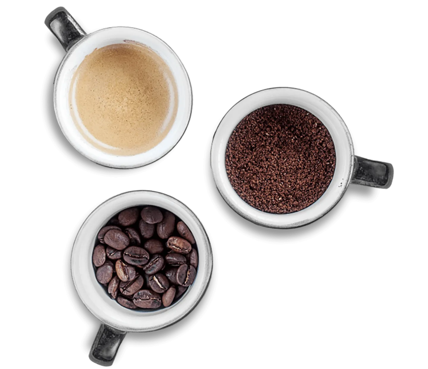 coffee tasting
