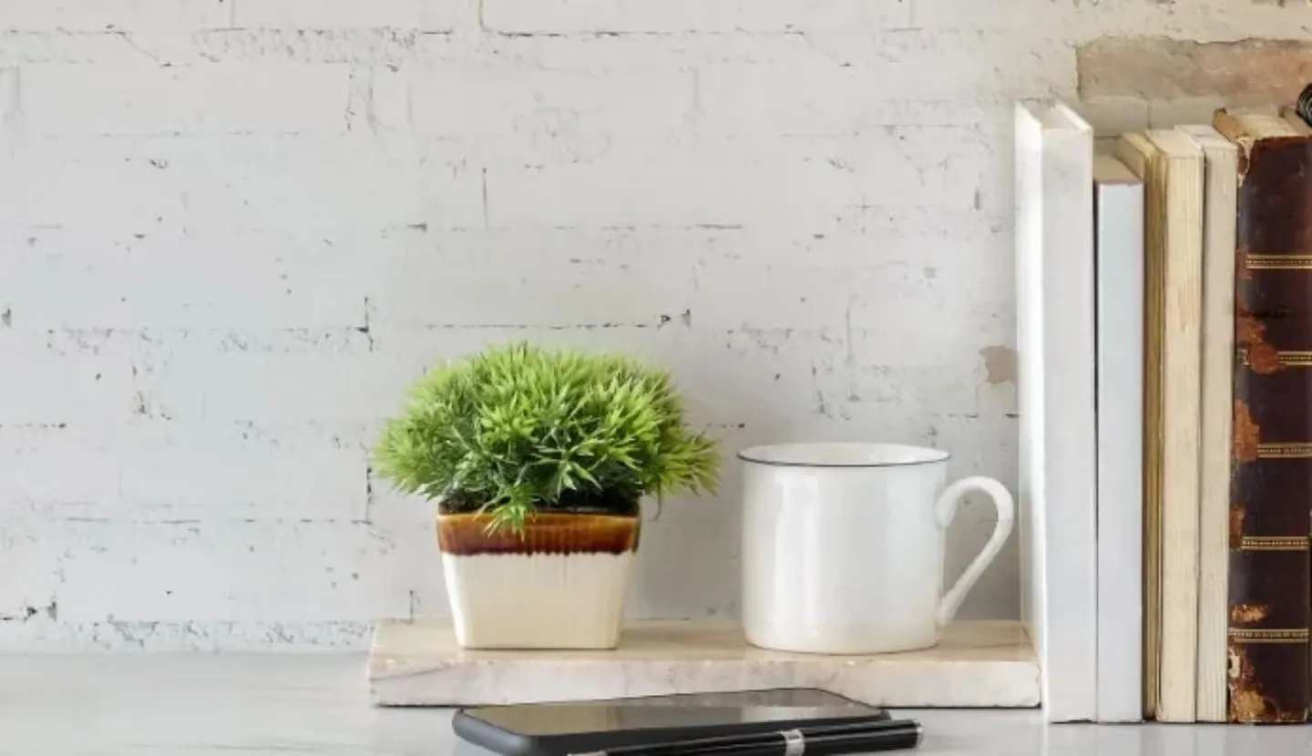 Best Coffee Table Books Header