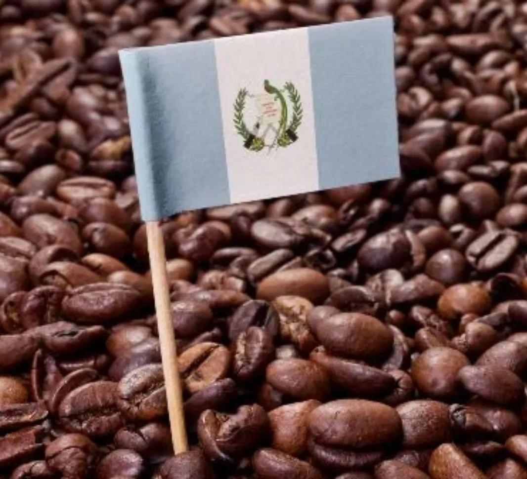 Guatemalan Coffee Beans