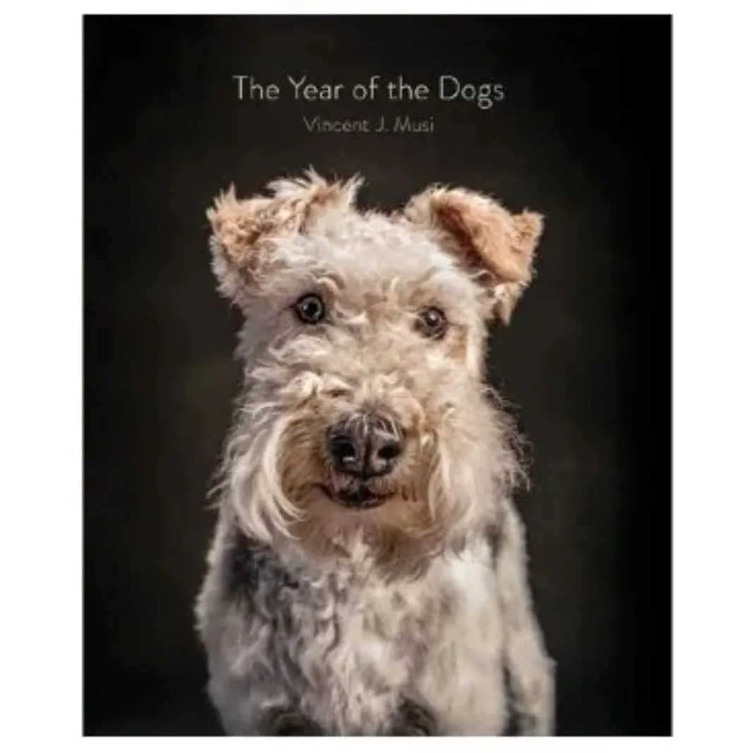 Book The Year of the Dogs Cover
