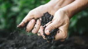 Soil