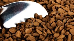 What is Instant Coffee