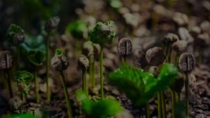 Improving soil health through The Milk Plan