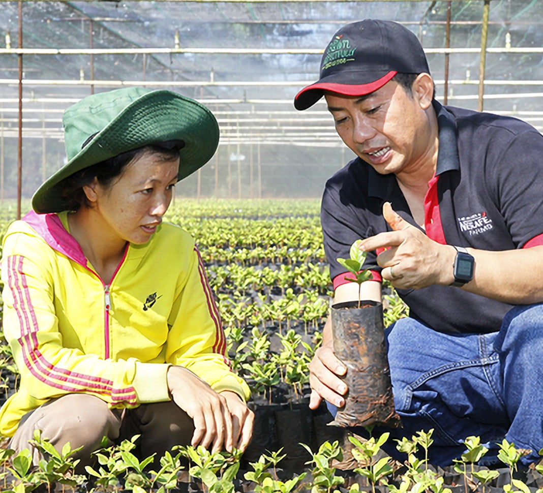 sustainable coffee farming