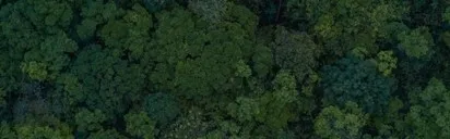 Nescafé obećanje održivosti - pozadinska slika