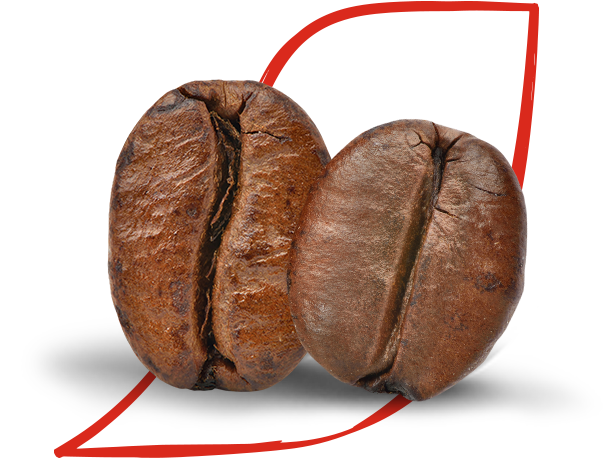 arabica és robusta babok 